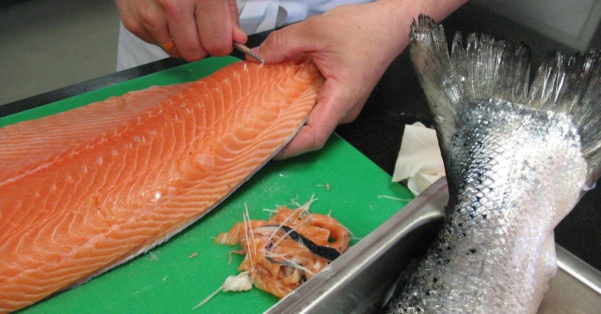 salmon food safety