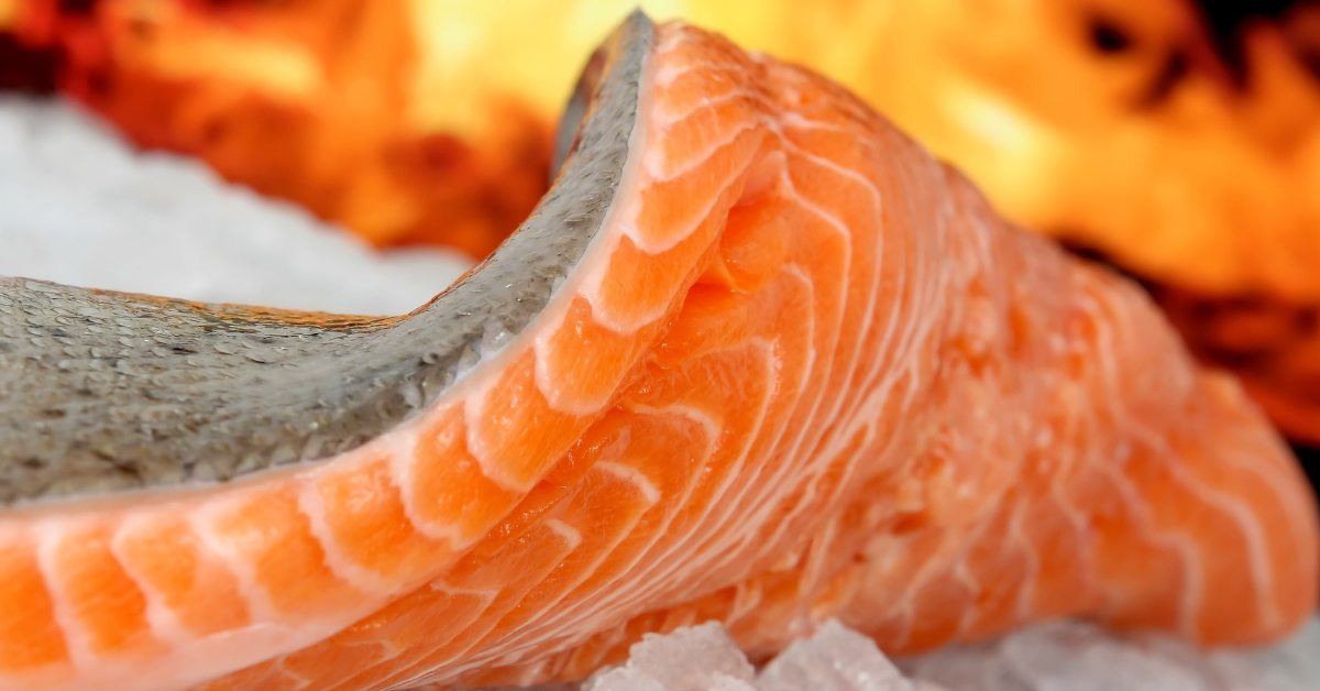 Clues that Your Salmon is Bad