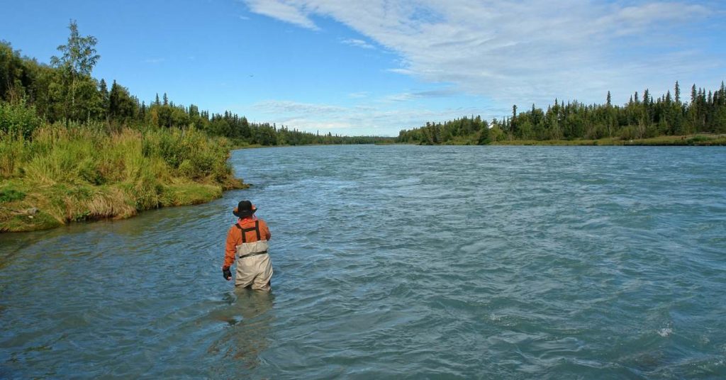 Top 10 Destinations for Salmon Fishing in the U.S.
