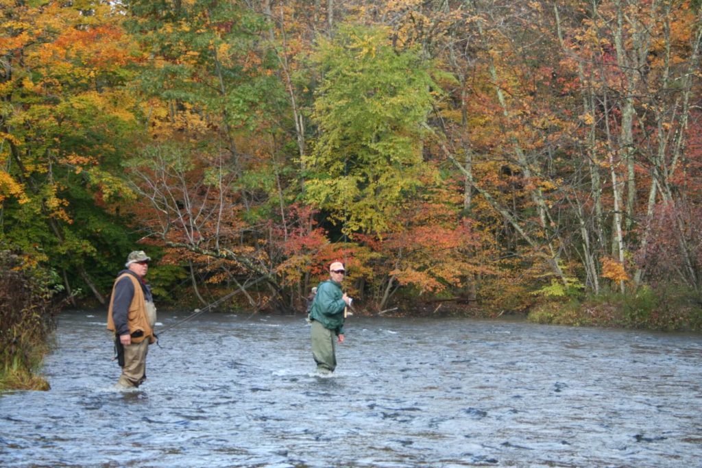 Best places in New York where you can catch some salmon. Stick around! Fall fishing on the Salmon River