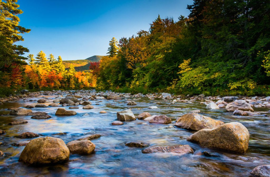Swift river in Autumn