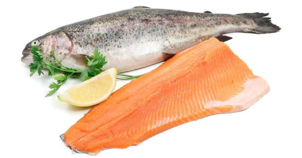 Salmon vs Trout: What’s the Difference?