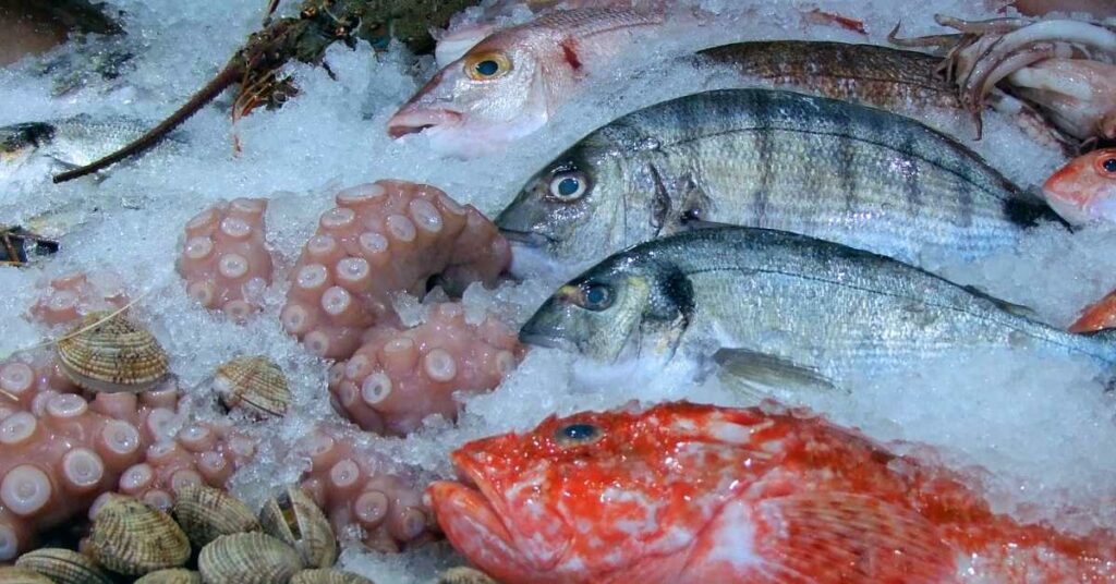 Salmon vs Tilapia: health benefits