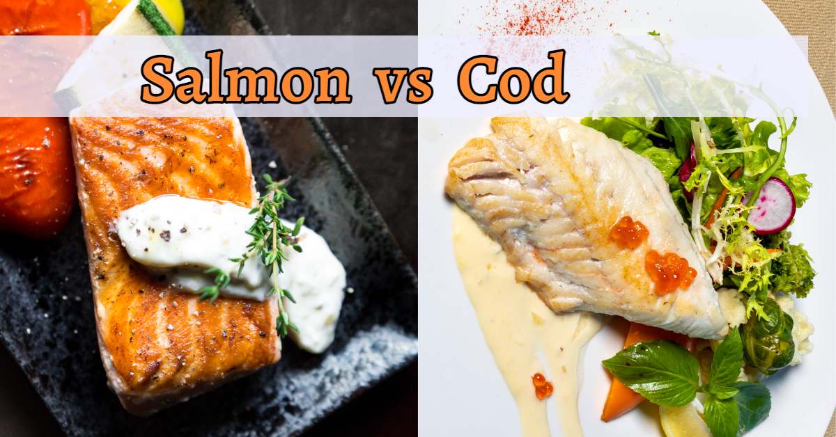 Salmon vs Cod