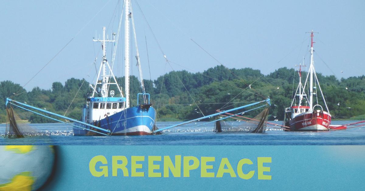 Greenpeace and Salmon